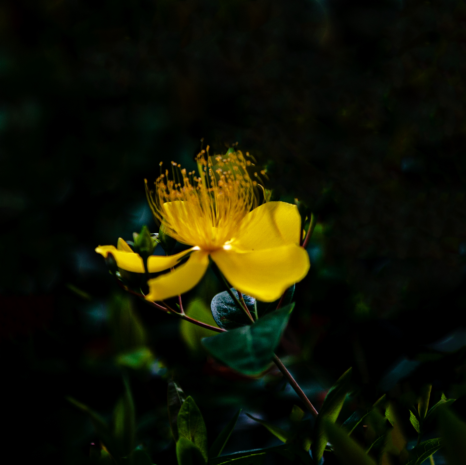 _MG_3045.jpg