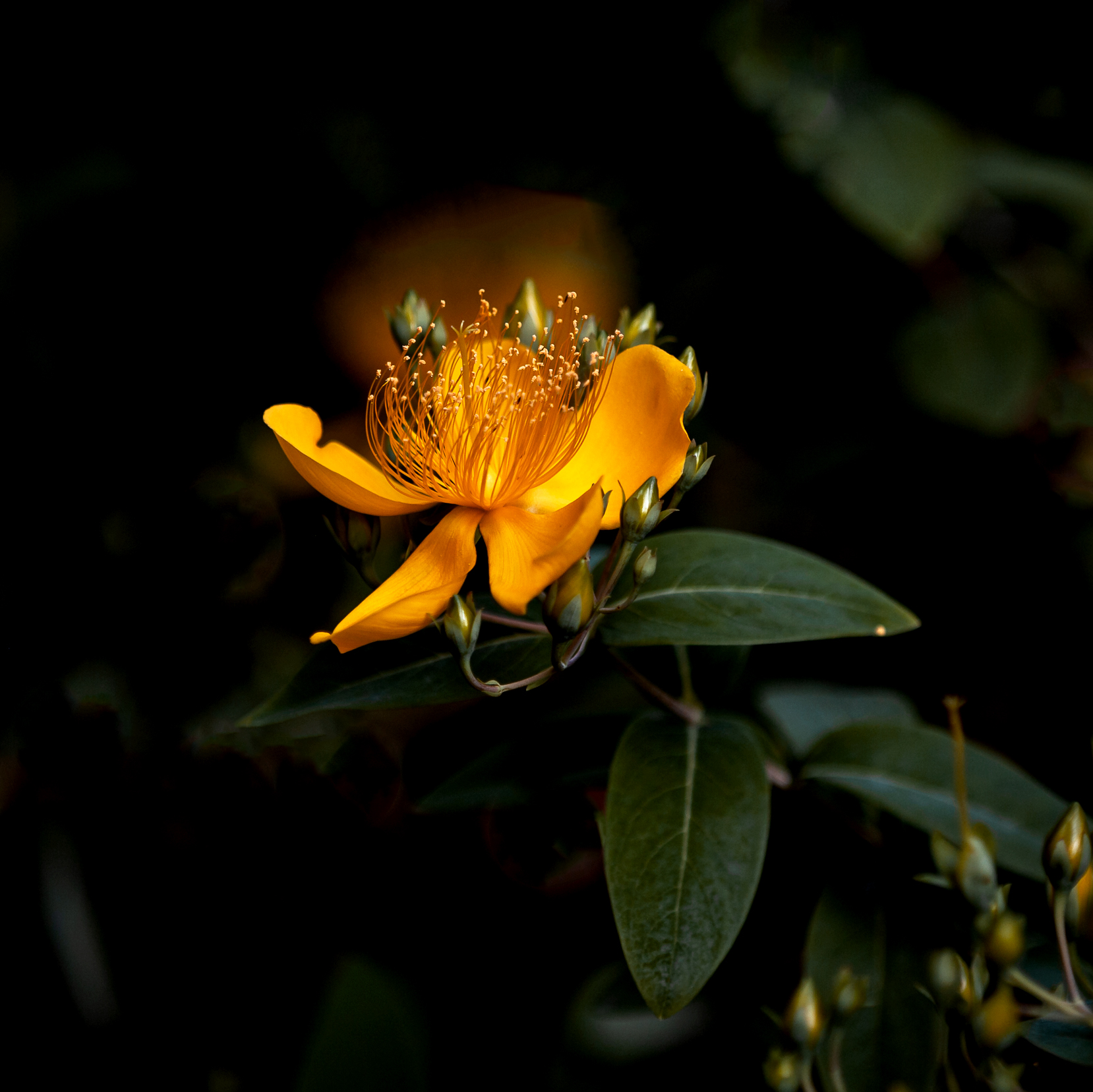 _MG_3049.jpg