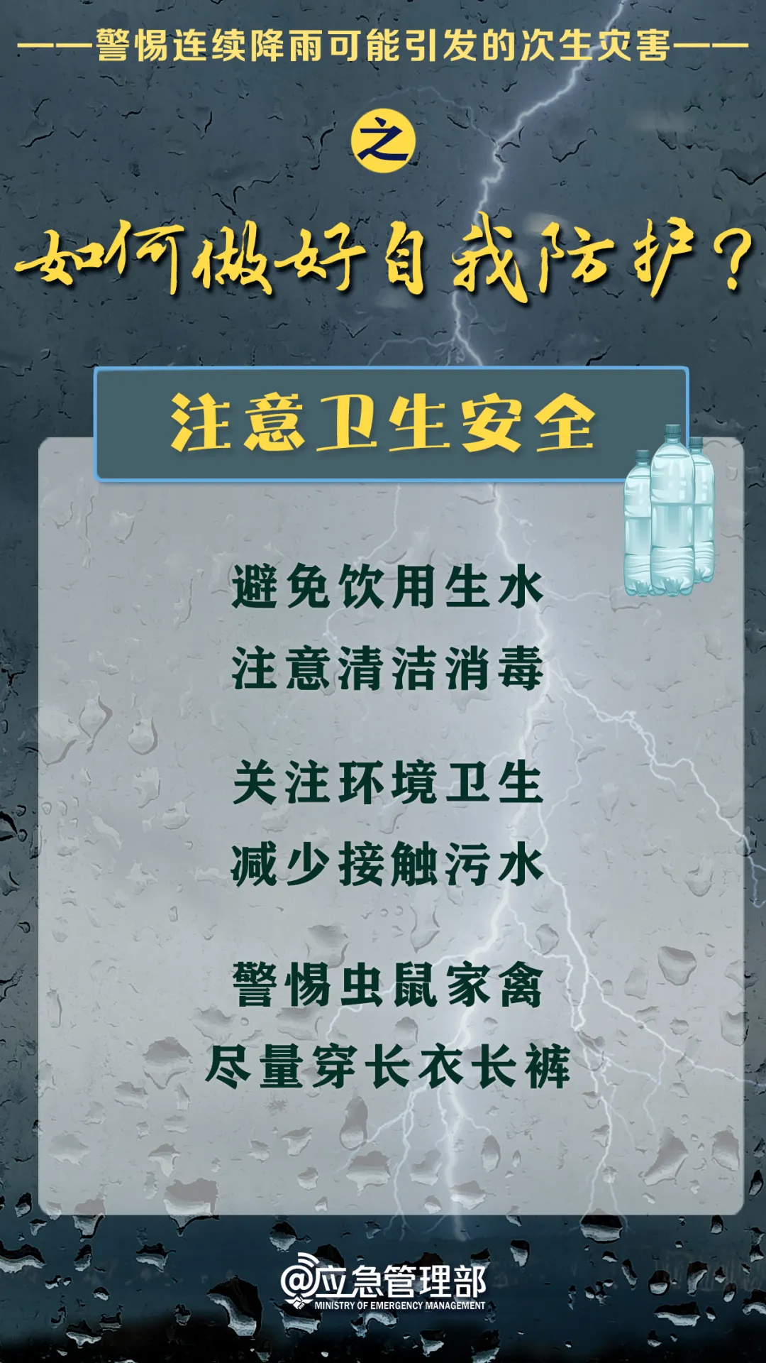 8.webp