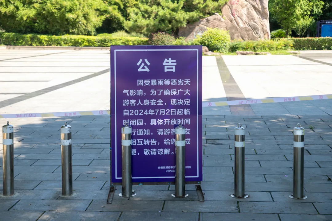 4.webp