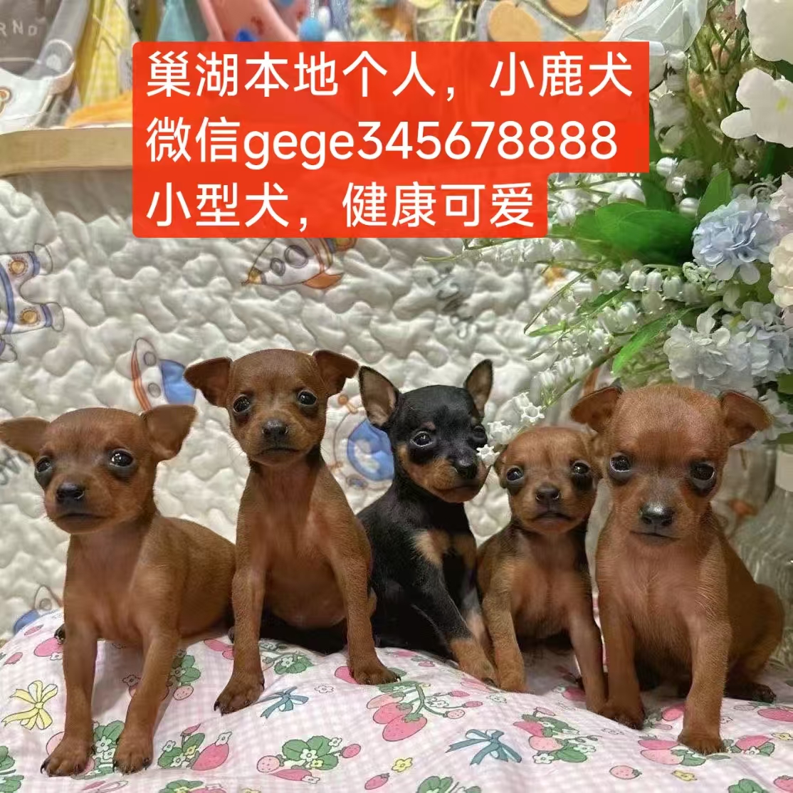 微信图片_20260719103359_236_36.jpg