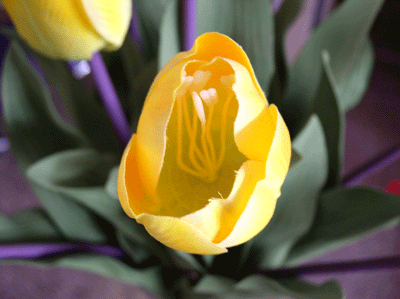 P7030014.gif