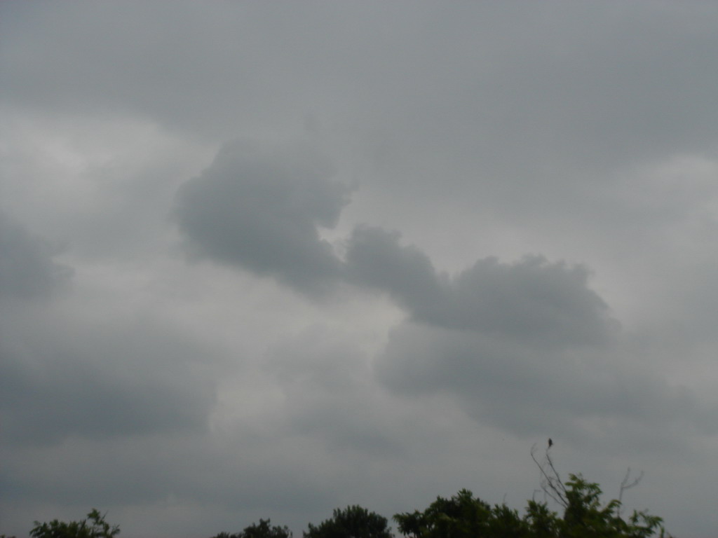 DSC01285_缩小大小.JPG