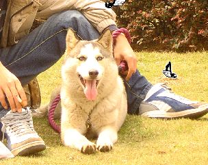{9B06D1C5-007A-4A63-BE52-6D798C30A394}.JPG
