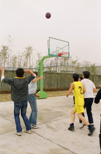 8.jpg