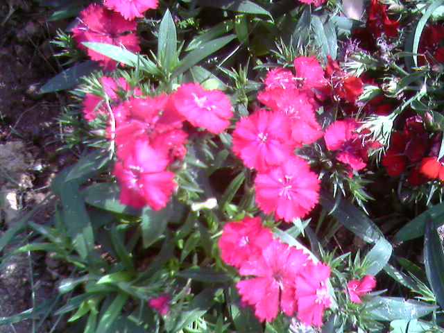 20060416144016.jpg