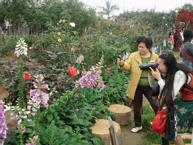 照片4 022.jpg