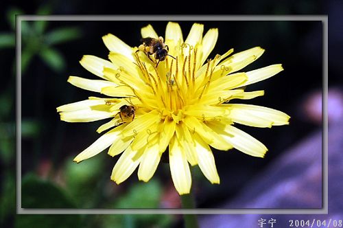 DSC_0049 副本 拷贝.jpg
