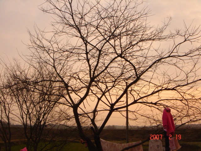 DSC02787.JPG