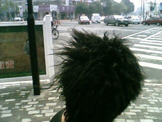 IMG0343A.jpg