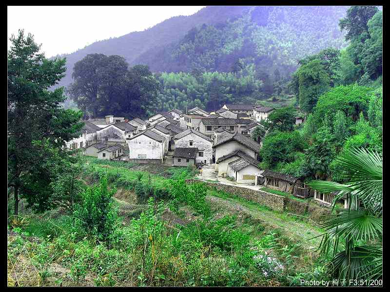 SNV30912.jpg