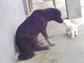 IMG0013A.jpg