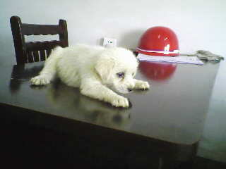 IMG0018A.jpg