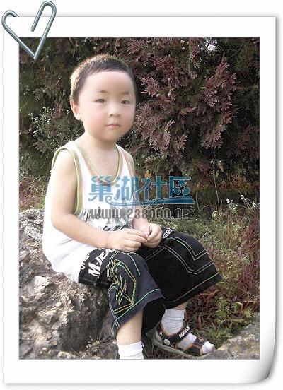 95_261_1185183370副本.jpg