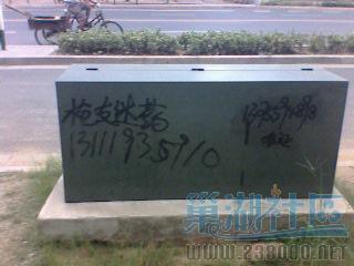 IMG0055A.jpg