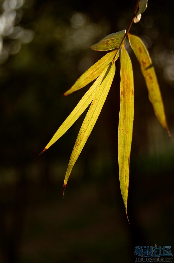 Dsc_0042&1024.jpg