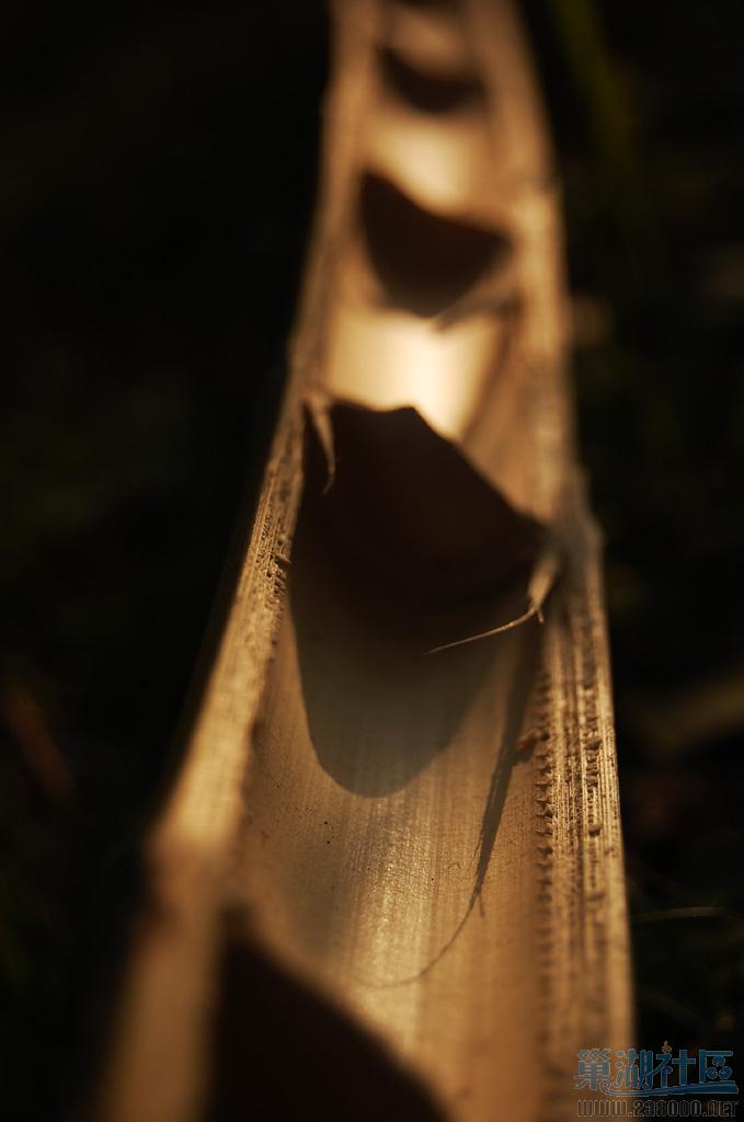 Dsc_0038&1024.jpg