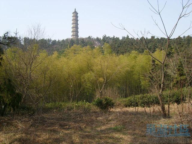 SL701855.jpg