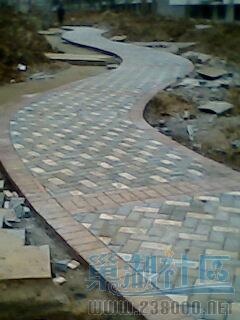 IMG0076A.jpg
