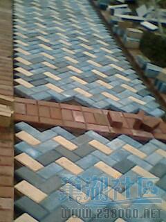 IMG0022A.jpg