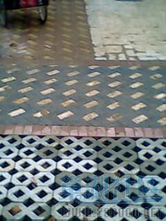 IMG0135A.jpg