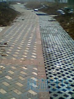IMG0133A.jpg