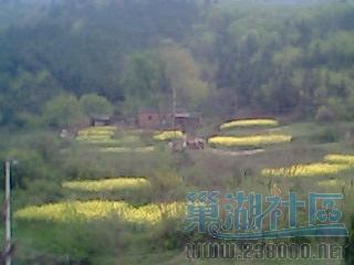 IMG0177A.jpg