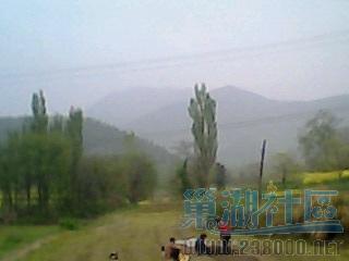 IMG0168A.jpg