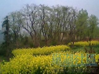 IMG0163A.jpg