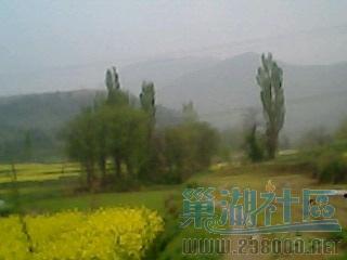 IMG0167A.jpg