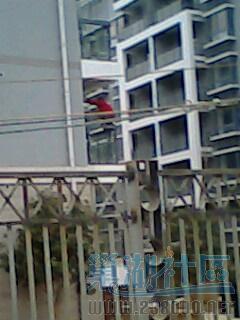 IMG0150A.jpg