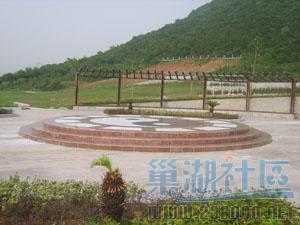 S8000991.jpg