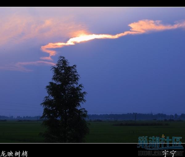 DSC_2751.JPG