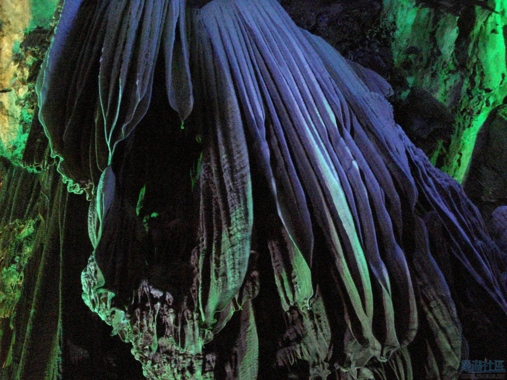 DSC02152.JPG