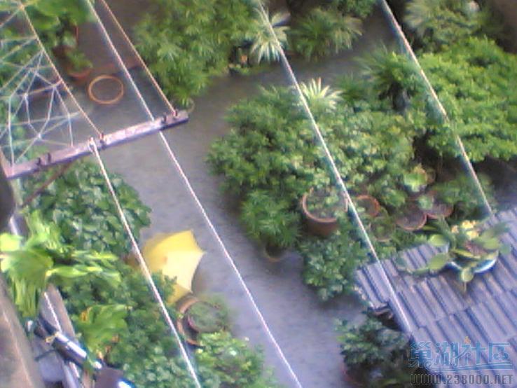 Image(002).jpg