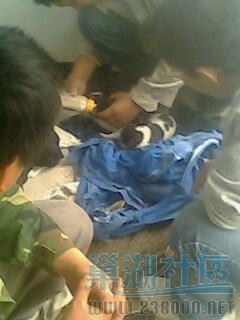 IMG0461A.jpg