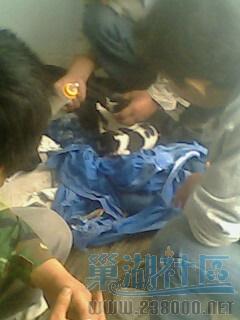 IMG0462A.jpg