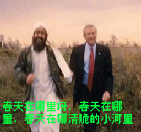 布什与拉登.gif