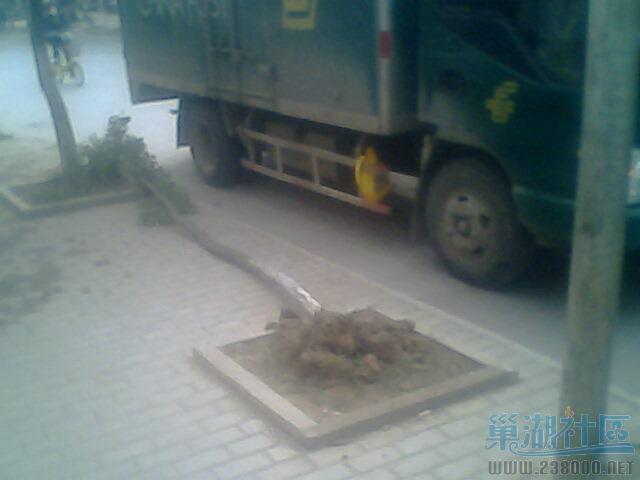 IMG0540A.jpg