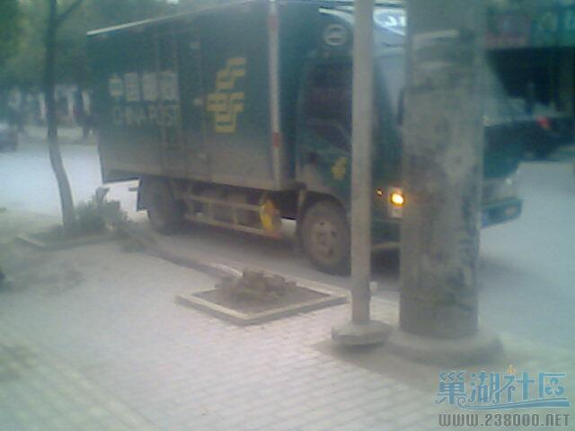 IMG0541A.jpg