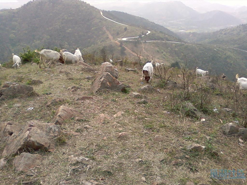 SP_A0103.jpg