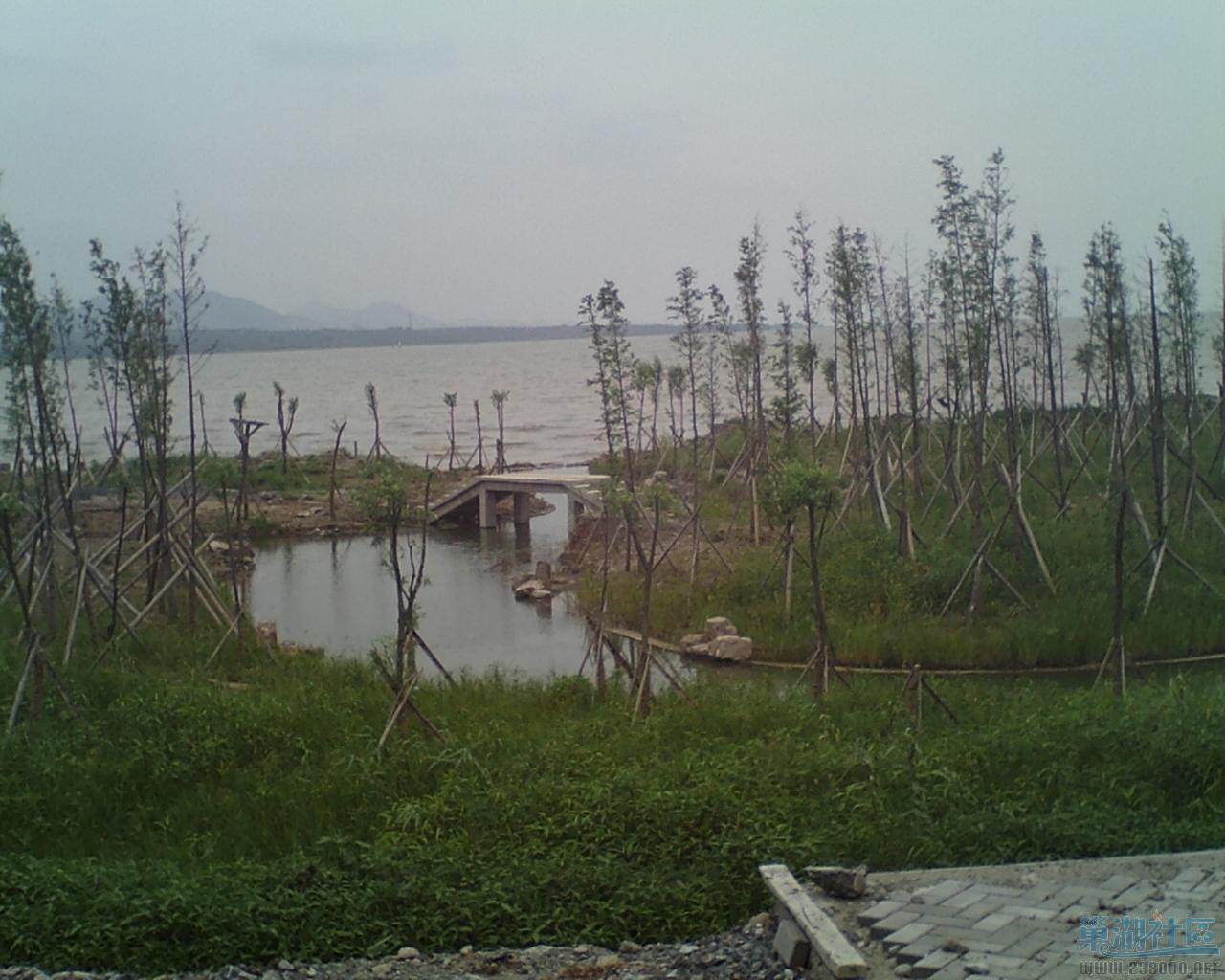 SUNP0088.JPG