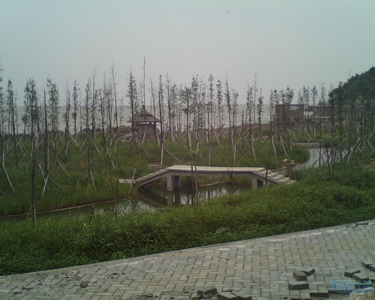 SUNP0087.JPG