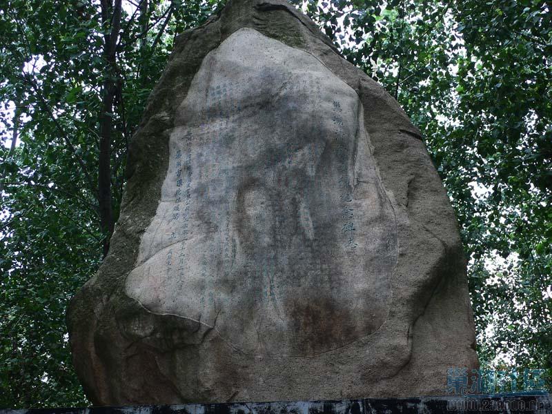 P1110059.jpg