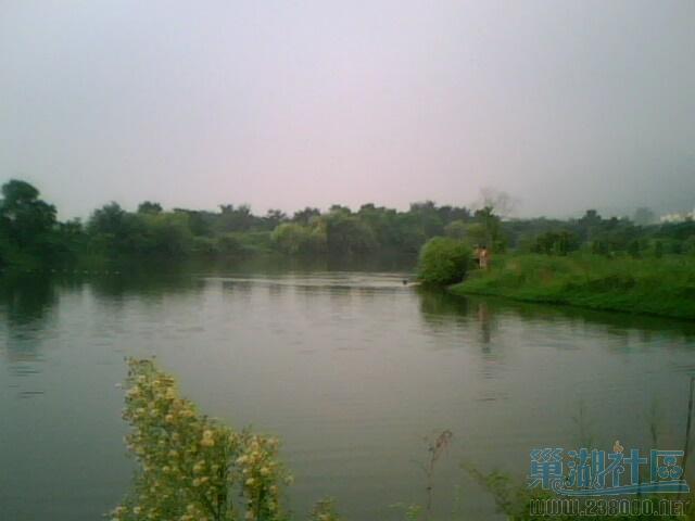 IMG0005A.jpg