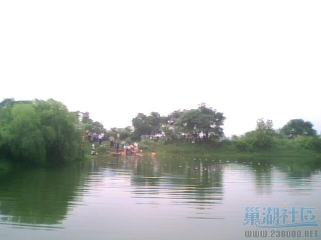 IMG0011A.jpg