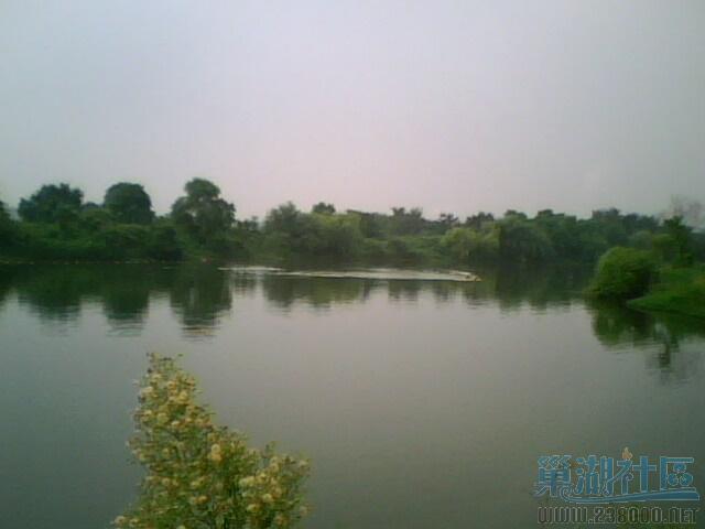 IMG0002A.jpg