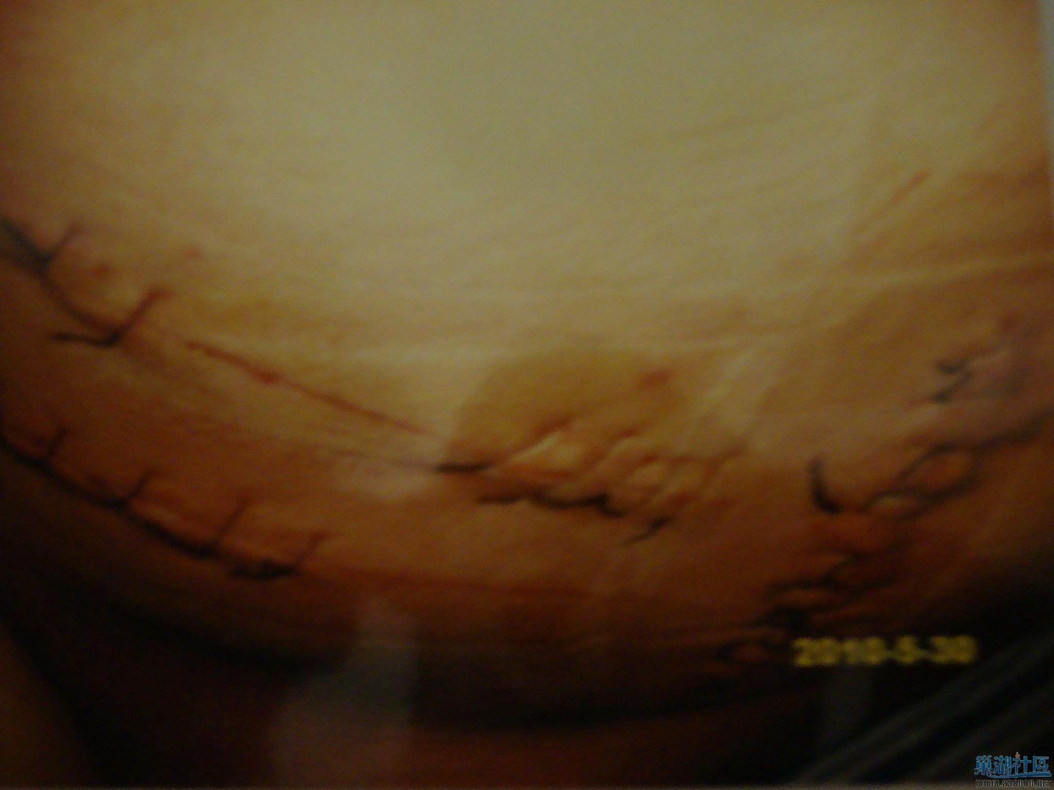 DSC01253.JPG