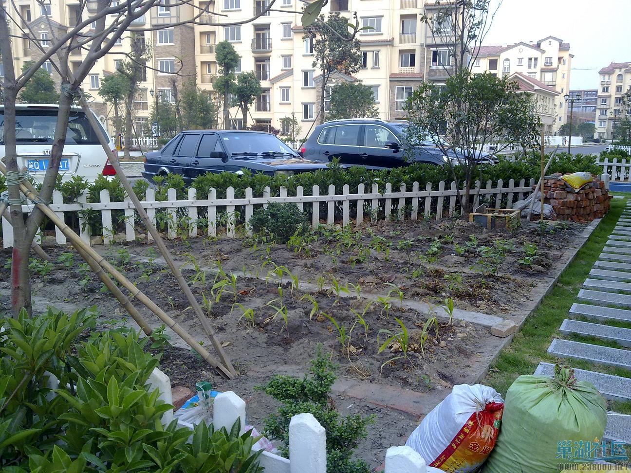 20100621284.jpg