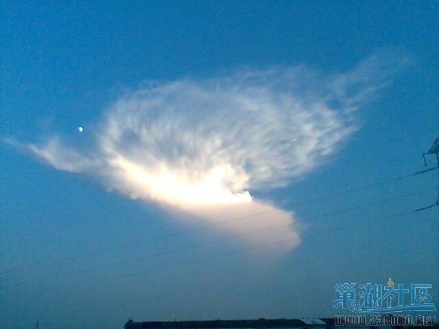 图像005.jpg